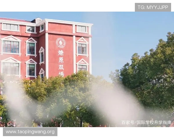 上海三公学校升学路径与发展方向分析为学生规划未来学业提供专业建议