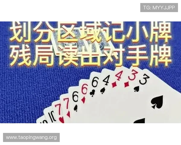 全民真人斗地主怎么玩才能快速上手，详细攻略助你成为牌技高手