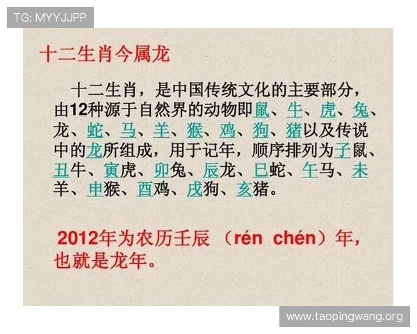 出龙和虎的玩法技巧大全：从基础到高级的全面攻略指南