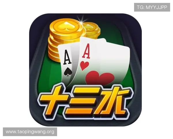 十三水游戏中水数怎么算，详细步骤与技巧分享让你在对局中占据优势
