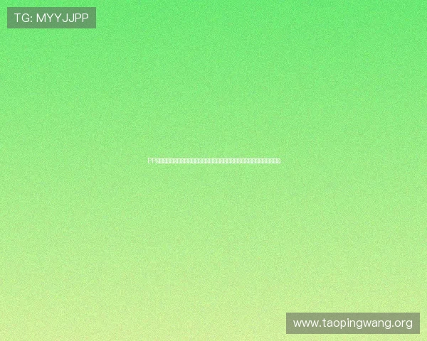 PP模拟器电脑版与其他模拟器的对比分析，选择最适合自己游戏需求的模拟器方案